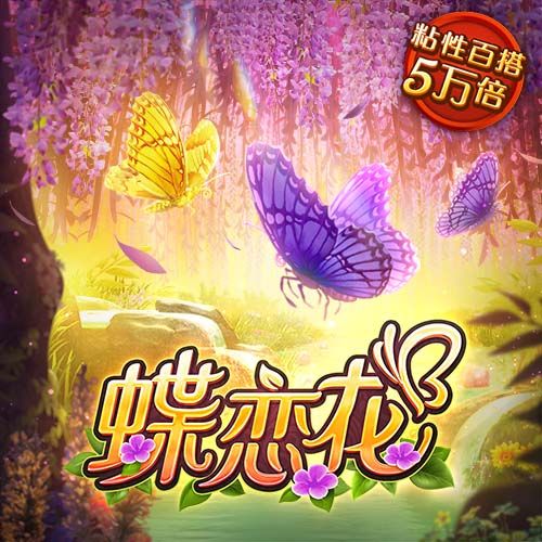 bibo必博体育网