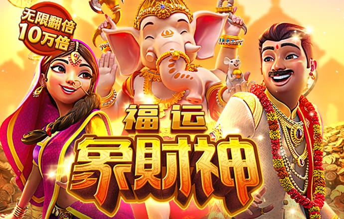 期期中app官网平台